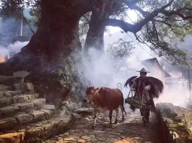 全市优秀！文汇街道未保站获殊荣